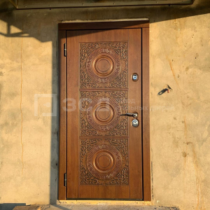 Фото Двери в частный дом №13